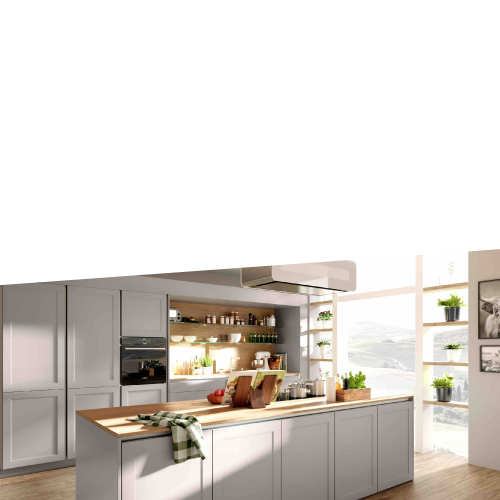 DAN Kuechen Modell Lion